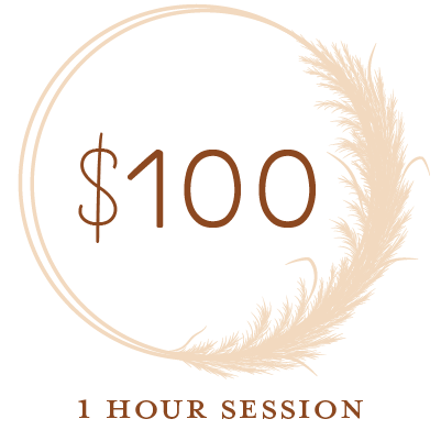 $100 for an hour session